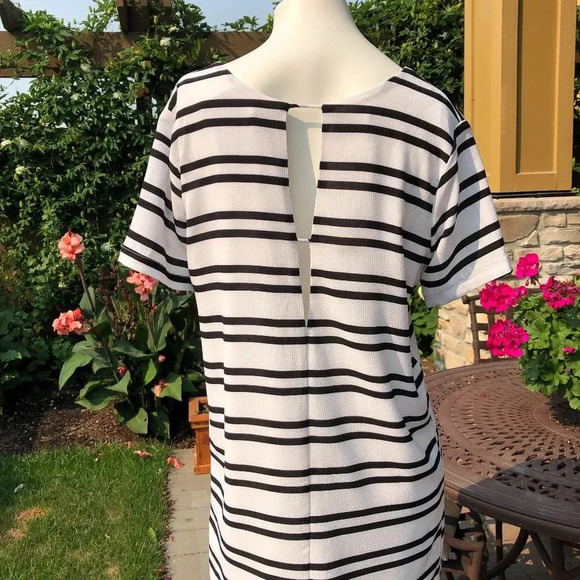 Press Dress Striped Short Sleeve V Neck Lined Mini Dress Black & White Sz S NWT - Picture 4 of 8